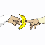 Apes Go Bananas
